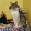 Отзыв от Оля Алексеева